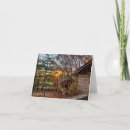 Search for sunset christmas cards Country