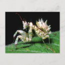 Recherche de adapté cartes postales Adaptation