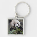 Search for zoo panda keychains Black and white