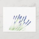 Search for watercolor lavender postcards Nature