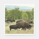 Recherche de bison serviettes Nature