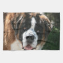 Recherche de chien de bernard maison deco Animaux