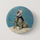 Recherche de iguane badges Animal