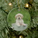 Search for bath ornaments Animal