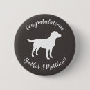 Recherche de labrador badges Chiot
