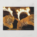 Search for leaping postcards Horizontal