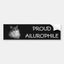 Search for cat lover bumper stickers Crazy cat lady