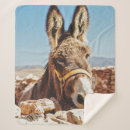 Search for donkey blankets Nature