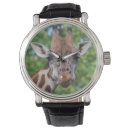 Search for giraffe watches Zoo animals