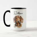 Search for dachshund dogs mugs For pets