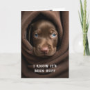 Search for with lab get well cards Dog