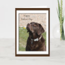 Search for lab” cards Dad