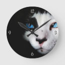 Recherche de yeux bleus horloges Chats