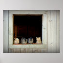 Search for kittie posters Kittens
