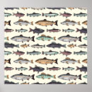 Search for salmon fish posters Sea