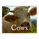 Search for highland cow office supplies Cows