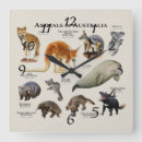 Search for australia clocks Animal