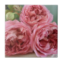 Search for english rose tiles Roses
