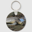 Search for hawaiian turtle keychains Honu