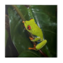 Recherche de observée par rouge Forêt tropicale