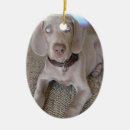 Search for weimaraner ornaments Canine