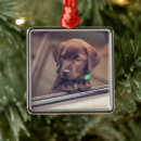 Search for labrador ornaments Puppy