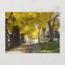 Search for canopy postcards Leaves