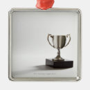 Search for trophy ornaments Achievement