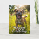 Search for border terrier cards Dog lover