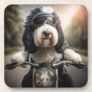 Search for animal lovers barware Pets