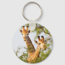 Search for giraffe picture keychains Wild animals
