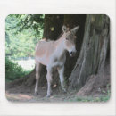 Recherche de ânes tapis souris Mule