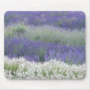 Search for fields mousepads Lavender