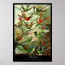 Search for zoology posters Zoologist