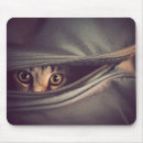 Recherche de vigilance tapis souris Chat