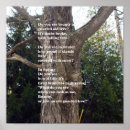 Search for poem posters Literature