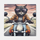 Search for motorbiker magnets Speed