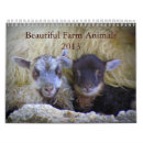 Search for farm calendars Pig