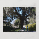 Recherche de chene cartes postales Jardins