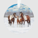 Search for paint horse ornaments Winter