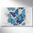 Search for butterfly name tags Blue