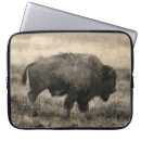 Search for bison cow electronics Wildlife