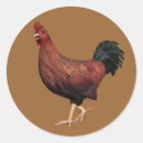 Search for red rooster stickers Bird