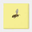 Search for bumble bee magnets Nature