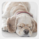 Search for lying down stickers Full length