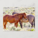 Recherche de fred cartes postales Fred j lord