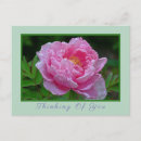 Search for floral note postcards Photography