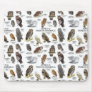 Search for barred owl electronics Avian