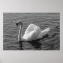 Recherche de oiseau de b posters Nature