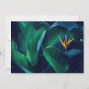 Search for bird paradise cards Garden